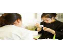 煙臺學西點哪家好？精選餐飲管理課程與海量高清圖片庫推薦